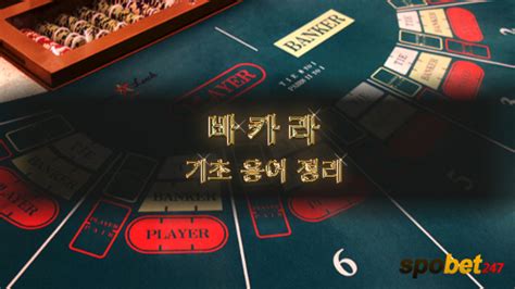 바카라 용어 정리 : 네이버 블로그.